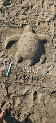 İztuzu Plajı'nda caretta yuva sayısı 300'e ulaştı