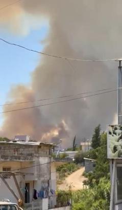 Adana'da orman yangını