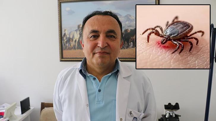 Uzmanından 'keneyi tırnaklarınız ile ezmeyin' uyarısı