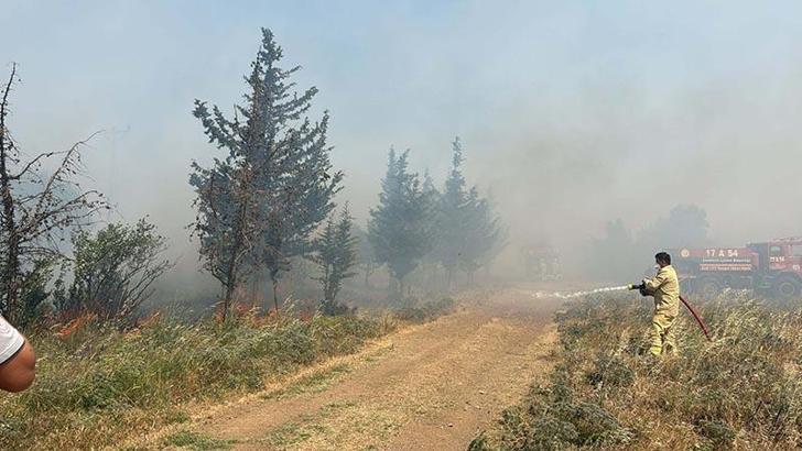 Çanakkale'de tarım arazisinde yangın