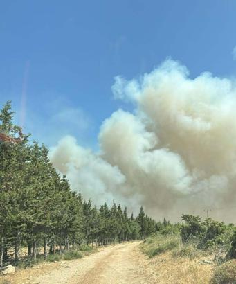 Çanakkale'de tarım arazisinde yangın