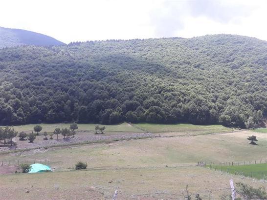 Samsun’da ormana girişler yasaklandı