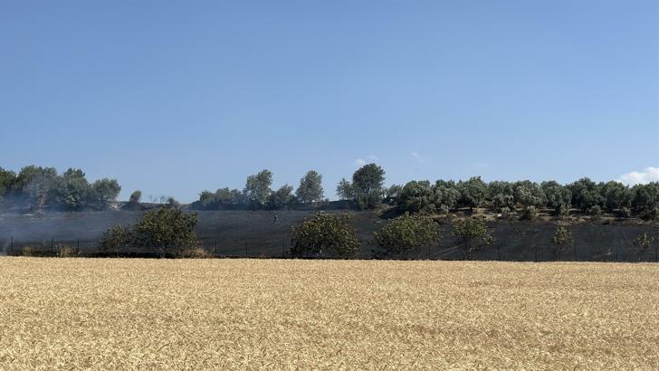 Çanakkale’de tarım arazisinde yangın (2)