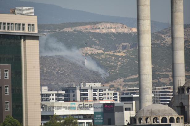 İzmir'de maki yangını
