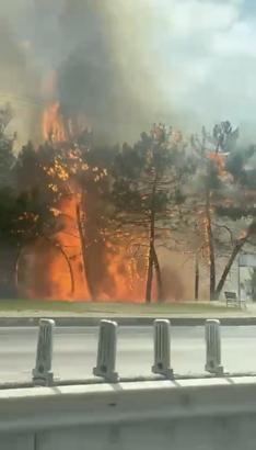 Kocaeli'de yangın; 4 kişi dumandan etkilendi