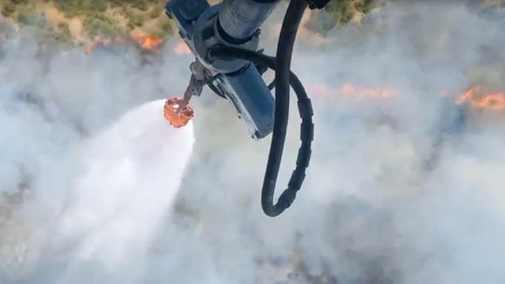 İzmir'de orman yangını