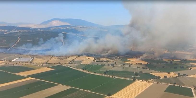 İzmir'de orman yangını