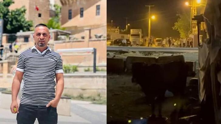 Kavgayı ayırmaya çalışırken öldü; soruşturmada 3 tutuklama