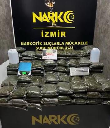 İzmir'de 126 kilo bonzai ele geçirildi