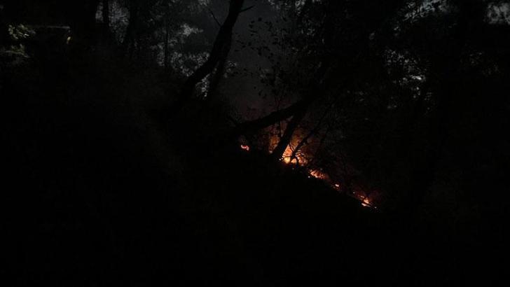 Adana'da orman yangını