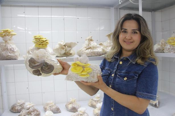 Çocuklara mantarı sevdirecek renkli üretim