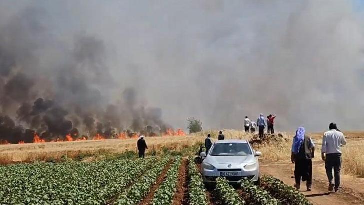 Şanlıurfa'da tarla yangını: 1'i ağır 5 yaralı