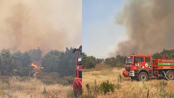 Çanakkale'de tarım arazisinde çıkan yangın kontrol altında