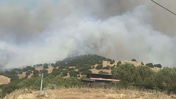 Aydın'da orman yangını