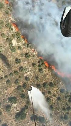 Çanakkale'de tarım arazisinde yangın (2)