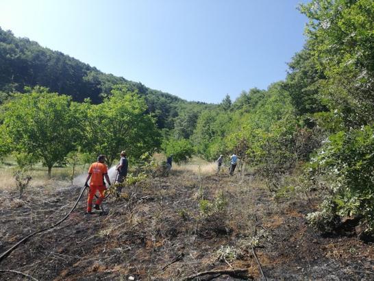 Pamukova'da arazi yangını korkuya neden oldu