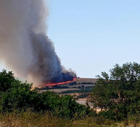 Tekirdağ'da 200 dönüm buğday tarlası yandı
