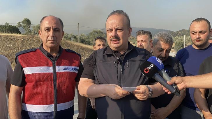 Aydın'da orman yangını (2)