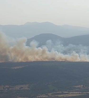 Manisa'da orman yangını