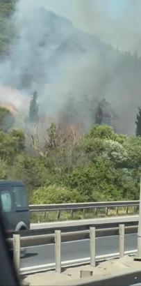 Kocaeli'de yol kenarında çıkıp ormana sıçrayan yangın, 2 saatte söndürüldü