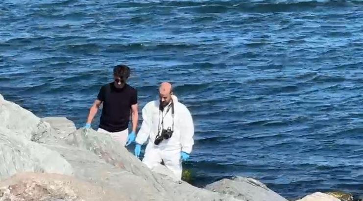 İstanbul- Avcılar Sahili'nde kadın cesedi bulundu / Geniş haber- aktüel görüntü