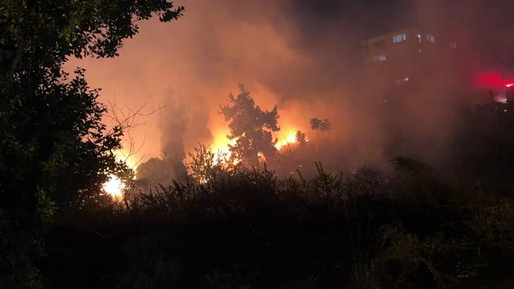İstanbul- Avcılar'da düğünde atılan havai fişekler, yangına yol açtı