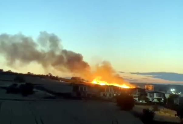 Düğünde atılan havai fişek, ekili buğday tarlasını yaktı