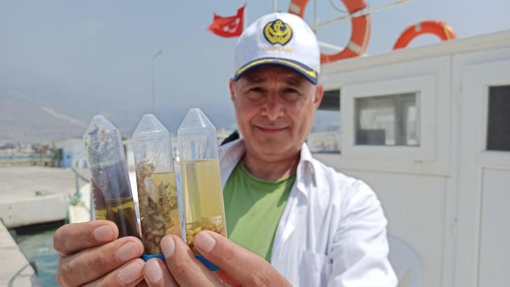 3 üniversiteden Doğu Akdeniz'de 'çöp kirliliği' araştırma projesi