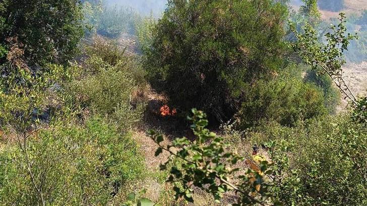 Antalya'da arazi yangını; ormana sıçramaması için yoğun müdahale