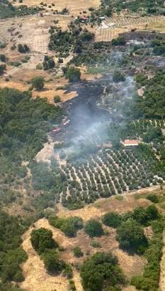 Antalya'da arazi yangını; ormana sıçramaması için yoğun müdahale