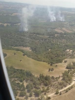 Adana'da orman yangını