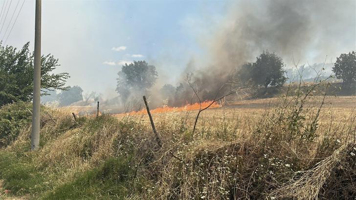 Çanakkale’de orman yangını (2)