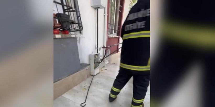 Osmaniye’de binanın doğalgaz panosuna giren yılan yakalanıp doğaya bırakıldı