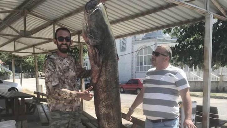 Meriç Nehri'nde 80 kilo ağırlığında yayın balığı yakaladı