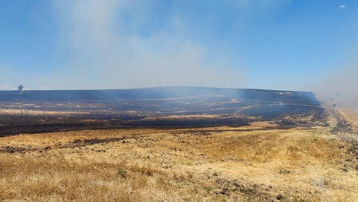 Bursa'da, anız yangınları söndürüldü (2)