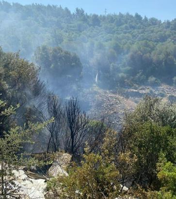 Aydın'da çıkan orman yangını kontrol altında