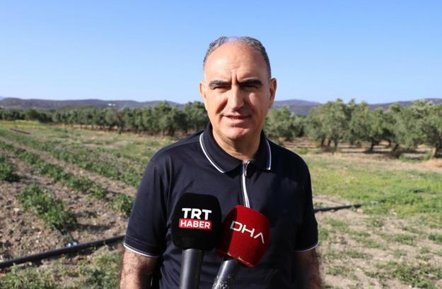 Manisa’da orman yangını (2)