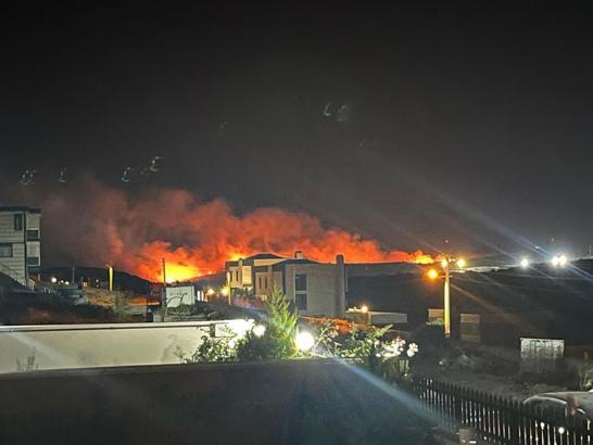 İzmir'de çıkan otluk yangını rüzgarla şiddetini artırdı / Ek fotoğraf