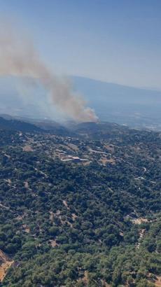 Aydın’da orman yangını (2)