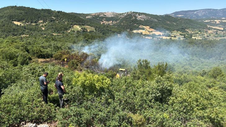 Manisa'daki orman yangınına 30 dakikalık müdahale