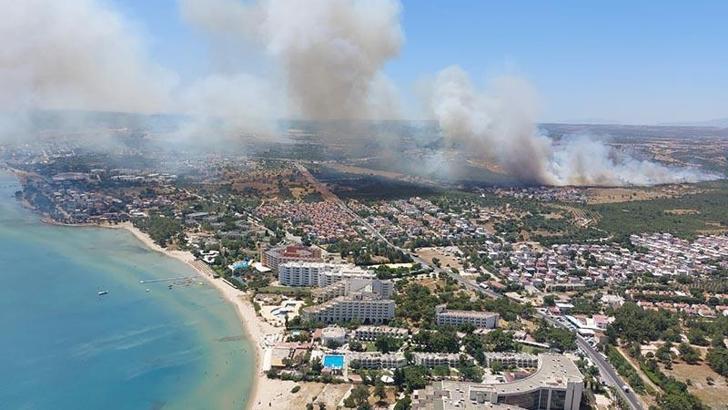 Aydın'da çıkan makilik yangını kontrol altında