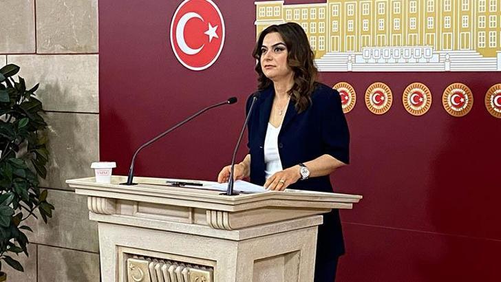 DEM Parti'li Koçyiğit: Kurtulmuş'un komisyon için yaptığı davetten memnuniyet duyuyoruz
