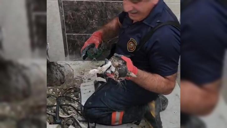 Havalandırma borusuna sıkışan kediyi itfaiye kurtardı