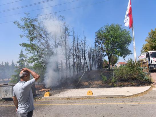 Edirne'de ot yangını; semt sahasına sıçramadan söndürüldü