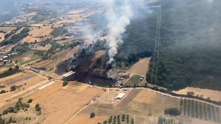 Bursa'da çıkan orman ve makilik yangını kontrol altında