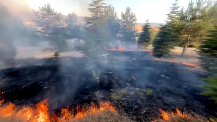 Elazığ’da örtü yangını, söndürüldü