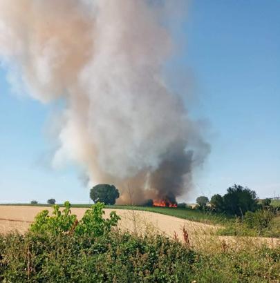 Malkara'da 20 dönüm buğday tarlası yandı