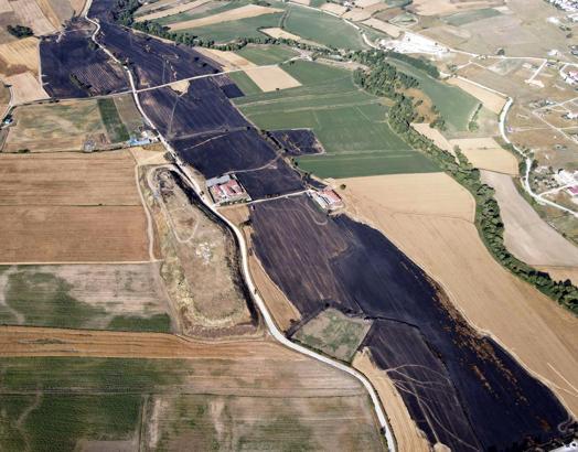 Tekirdağ'da yangında 400 dönüm buğday ekili tarla zarar gördü