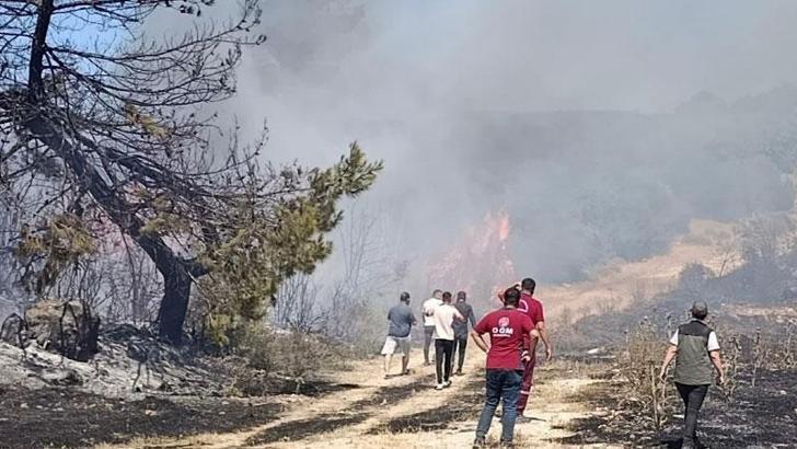 Semaver yakarken ormanı da yaktı; gözaltında