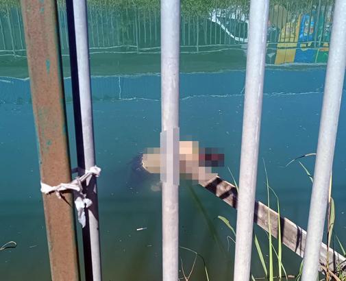 Adana'da sulama kanalında erkek cesedi bulundu